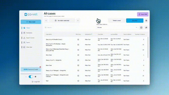 new case management